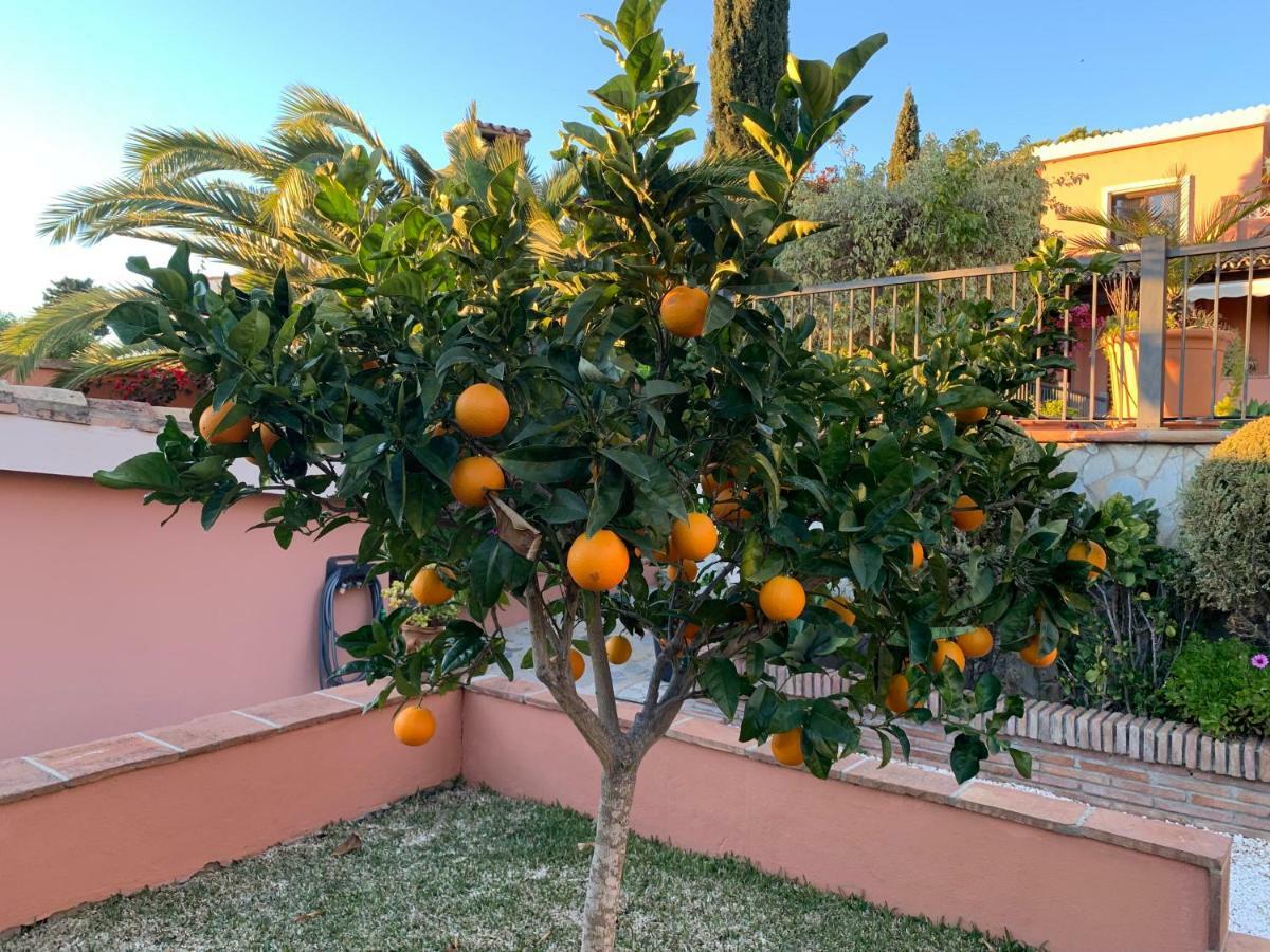 Pousada Exclusive Andalusian El Pino In Cabopino